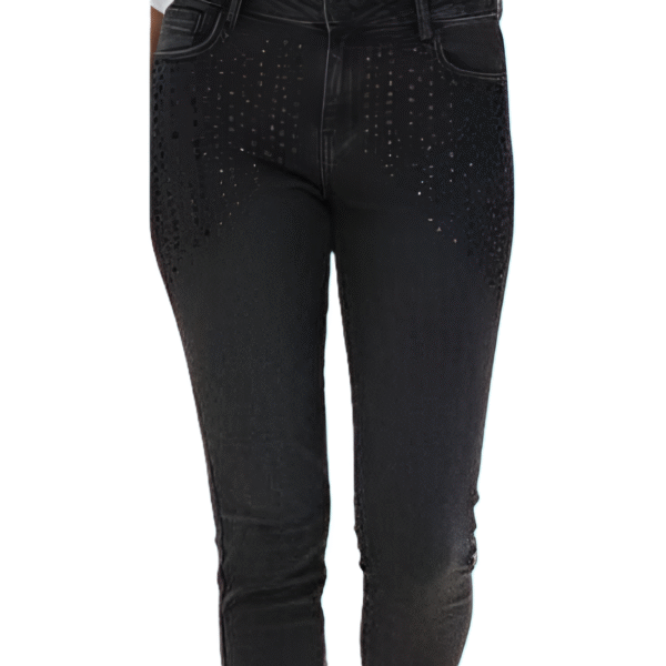 Black Pant with Black small stone